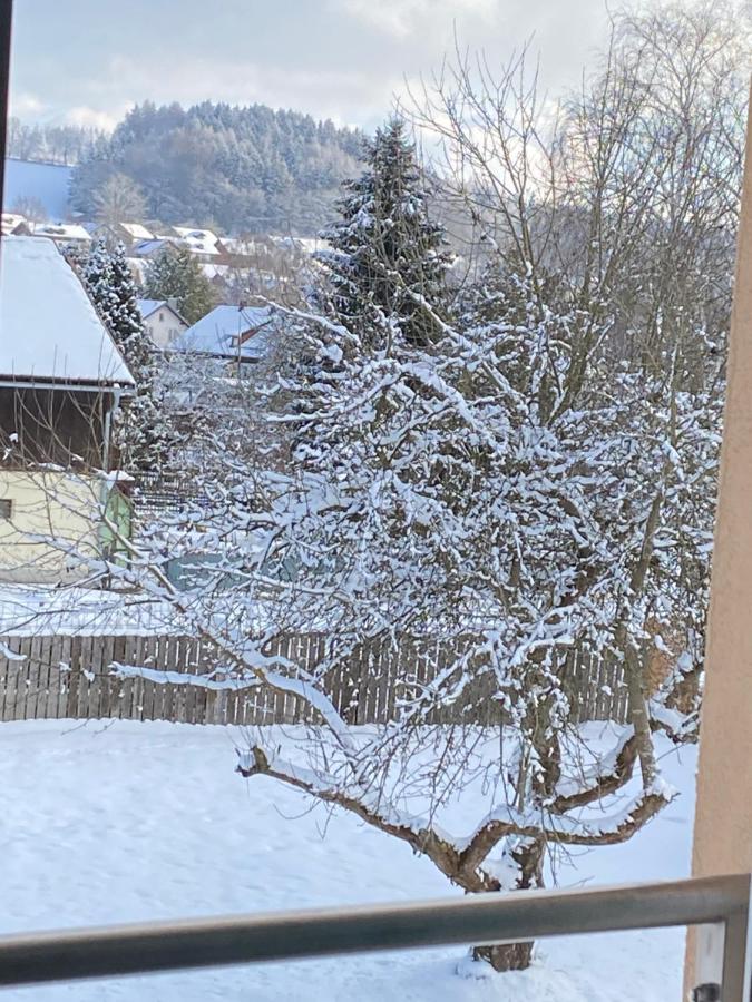 Grosszuegig Und Komfortabel:Ferienwohnung Im Bayerischen Wald! Wiesenfelden Eksteriør billede